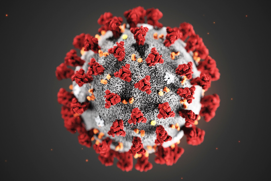 Der Patient litt an der durch das Coronavirus ausgelösten Lungenkrankheit Covid-19.