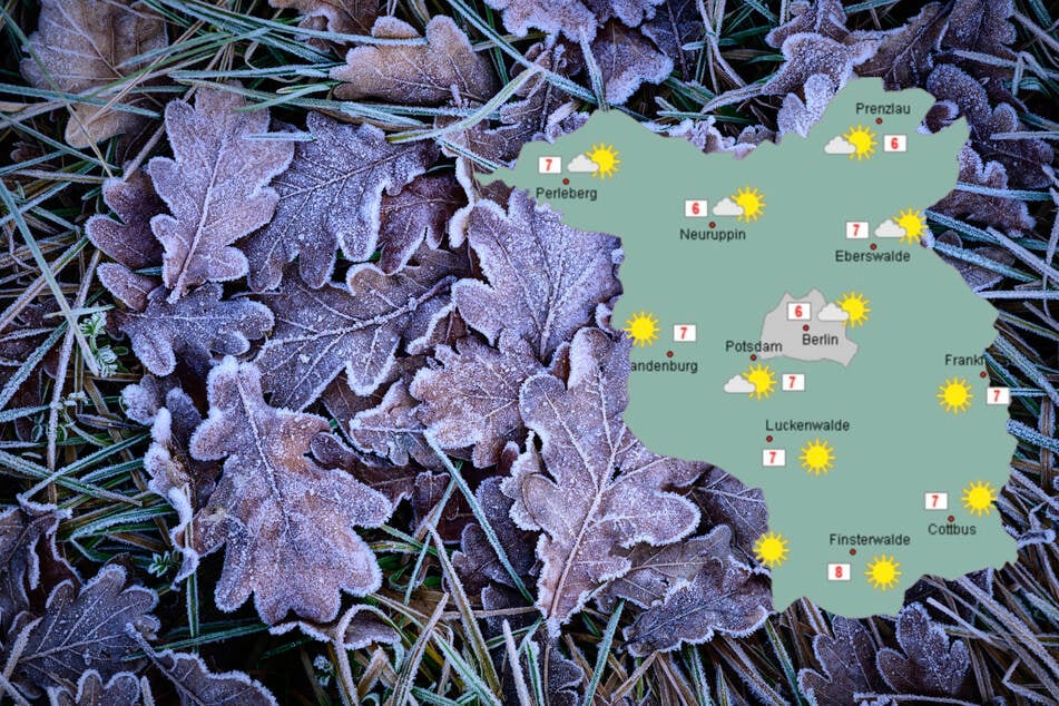 Woche in Berlin und Brandenburg startet mild: Doch nachts wird's frostig