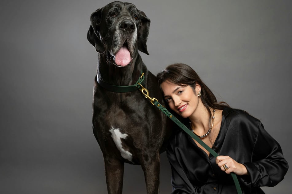 25% off on leashes and collars with code LFULUDH6.