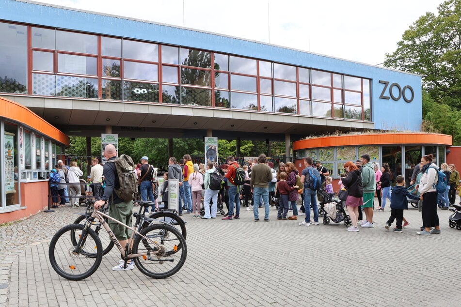 Im Dresdner Zoo gibts natürlich wieder ein Ferienprogramm.