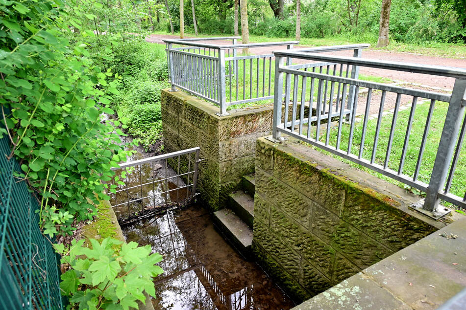 Hier taucht der Kaitzbach zwischen Bürgerwiese und Blüherpark ab und verläuft dann bis zur Elbe unterirdisch.