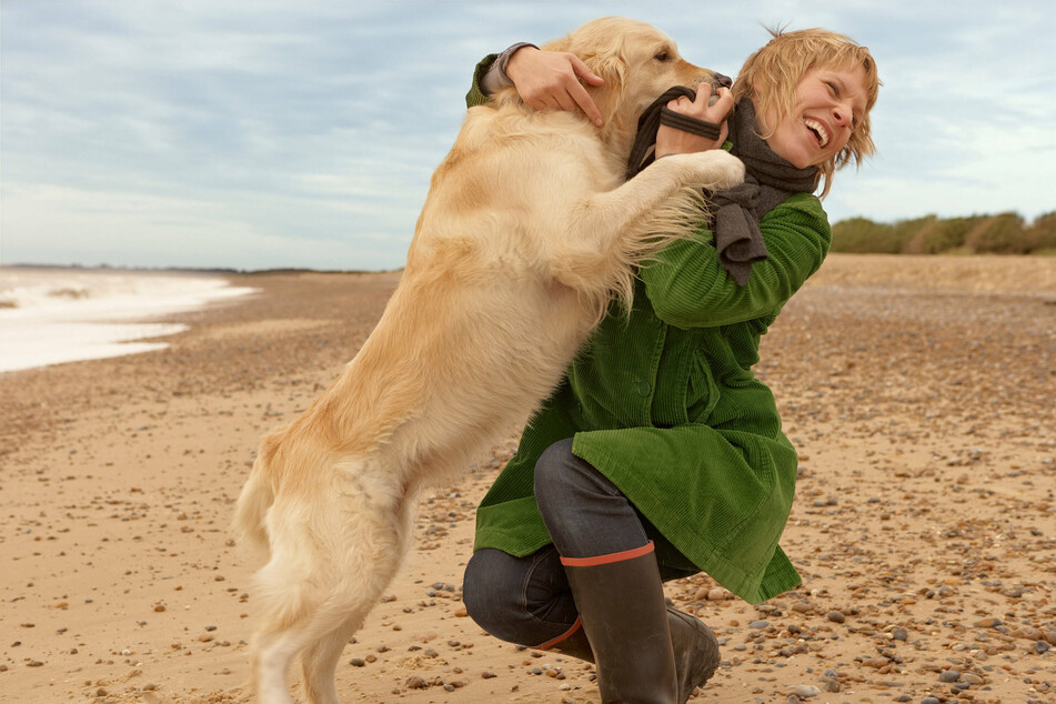 A dog awkwardly trying to jump up on you is, well, adorable, but it can get inconvenient.