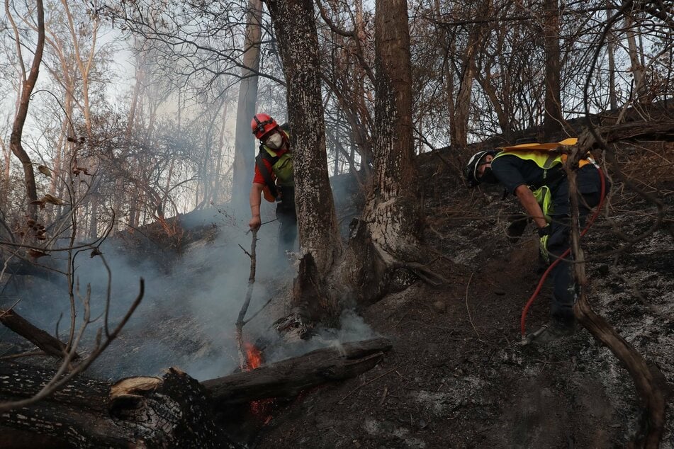 Firefighters arrive to control a wildfire in Mexico's Chapultepec Forest.
