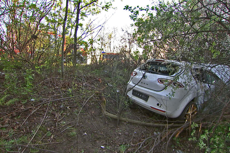 Der Unfallverursacher landete nach dem Crash im Gebüsch.