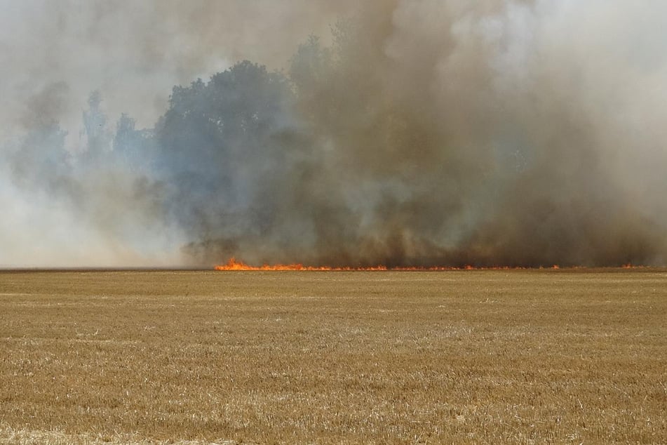 Mittlerweile ist das Feuer unter Kontrolle.