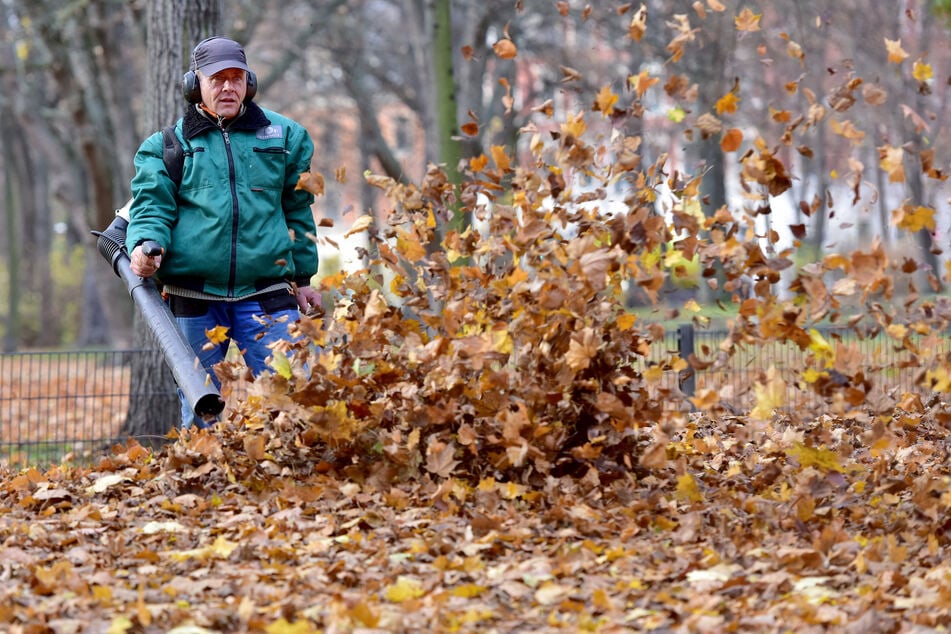 Wenn das Geräusch von Laubbläsern am Wochenende das Kreischen der Kreissäge übertönt, ist der Herbst gekommen.