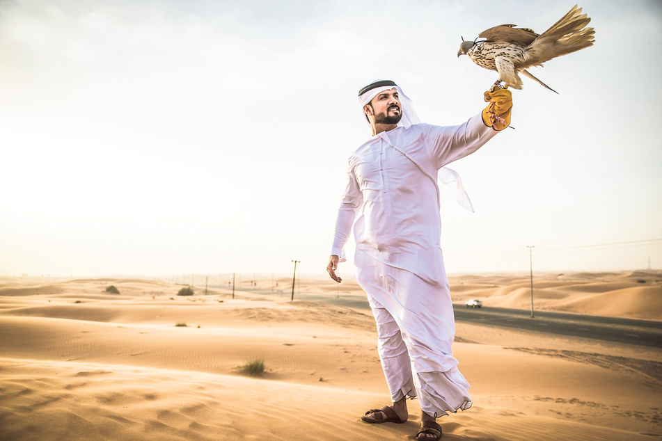 Falkenkult als Statussymbol: Zu einem Besuch in den VAE gehört auch eine Wüstensafari in ein Beduinencamp mit einer Falkenshow.
