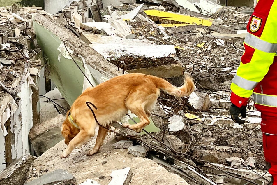 Die Plattform "zwickauCROWD" hilft Vereinen der BRH Rettungshundestaffel beim Spendensammeln.