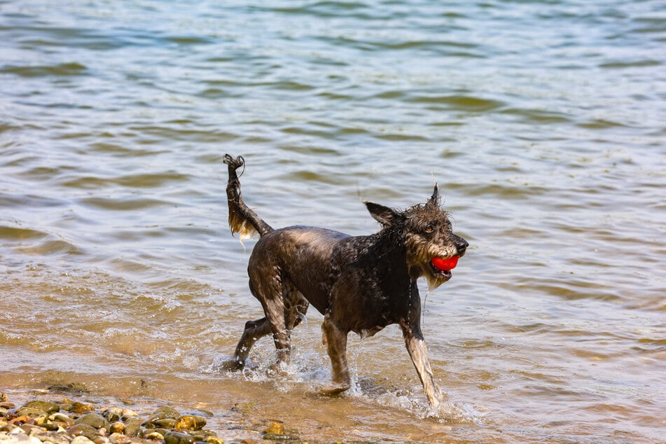 Der Wochenbeginn eignet sich noch einmal für eine Abkühlung am Wasser.