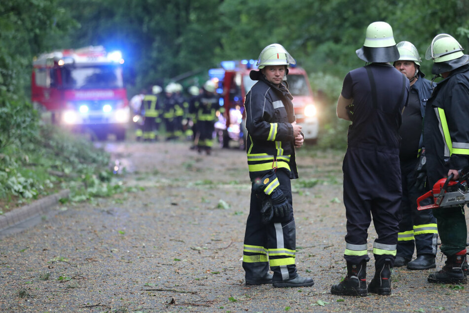 München: Entwurzelter Bäume, beschädigte Dächer: Feuerwehr fährt rund 400 Einsätze in sechs Stunden