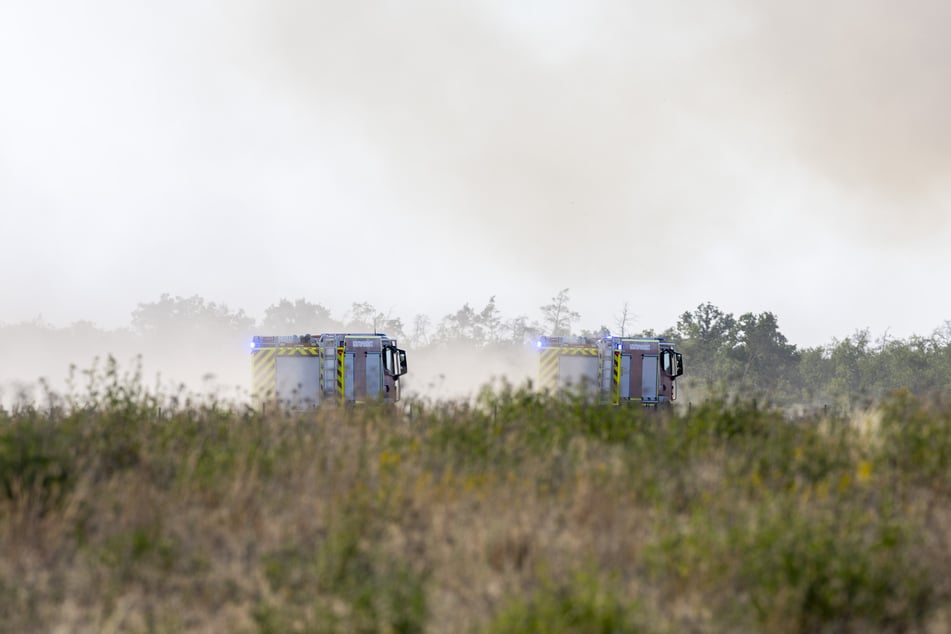 Bereits am Dienstag war die Feuerwehr zwischen dem sächsischen Ort Zeithain und dem brandenburgischen Herzberg aktiv.