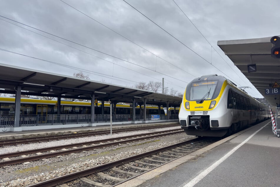 In einem Metropolexpress nahe Stuttgart kam es zu der sexuellen Belästigung zum Nachteil eines 18-Jährigen. (Symbolbild)