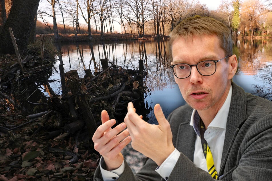 Dresden: Umweltskandal im Dresdner Norden: Wie hoch die Belastung der Gewässer wirklich ist