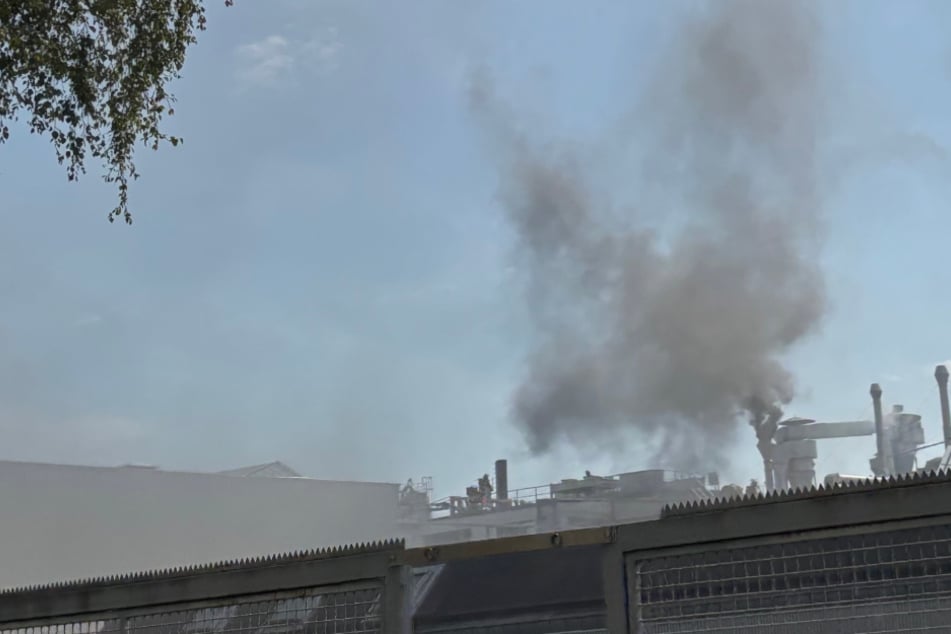 Brand in Industriegebiet: Feuerwehr im Großeinsatz - Zwei Kameraden in Klinik
