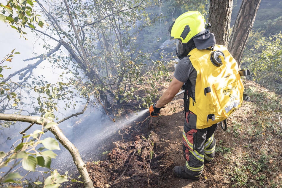 Unter anderem mit Löschrucksäcken kämpften über 100 Kameraden gegen das Feuer.