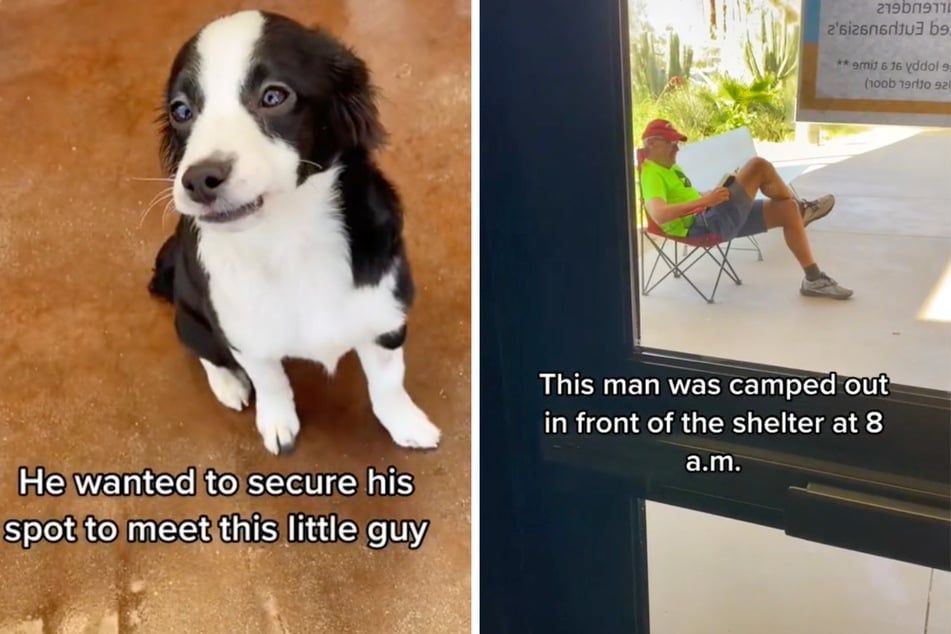 Alter Mann sitzt stundenlang vor Tierheim, um Hund abzuholen: Das Treffen rührt zu Tränen