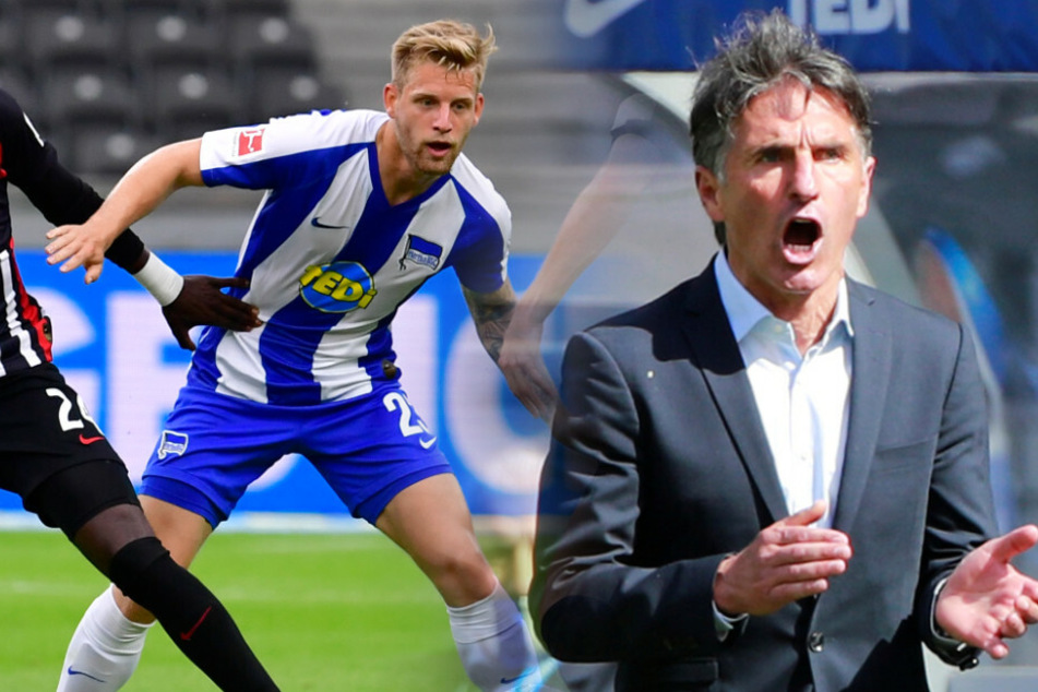 Bruno Labbadia muss vermutlich auch in Gladbach auf Arne Maier verzichten. (Bildmontage)
