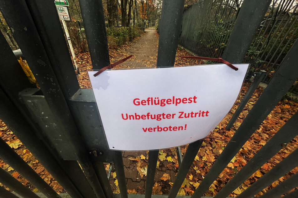 Nach dem Ausbruch der Vogelgrippe ist der Zutritt zum Zoo Berlin für Besucherinnen und Besucher seit mehreren Wochen verboten.