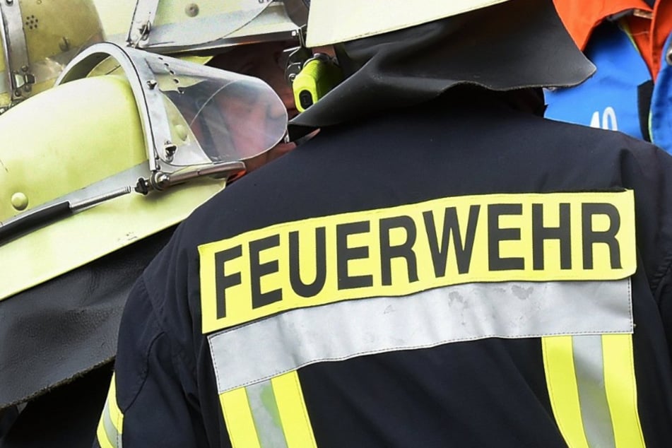 München: Brand im Landkreis München: Stadl stürzt unter Flammen ein und begräbt Kälber