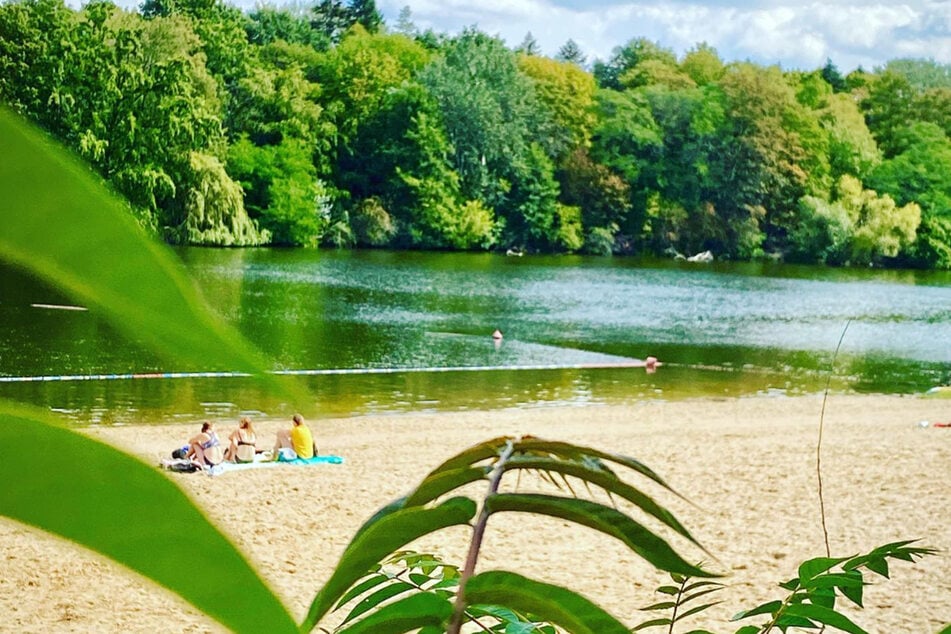 Strandbad Plötzensee in Berlin wird ab 1. August zum großen Sommerkino