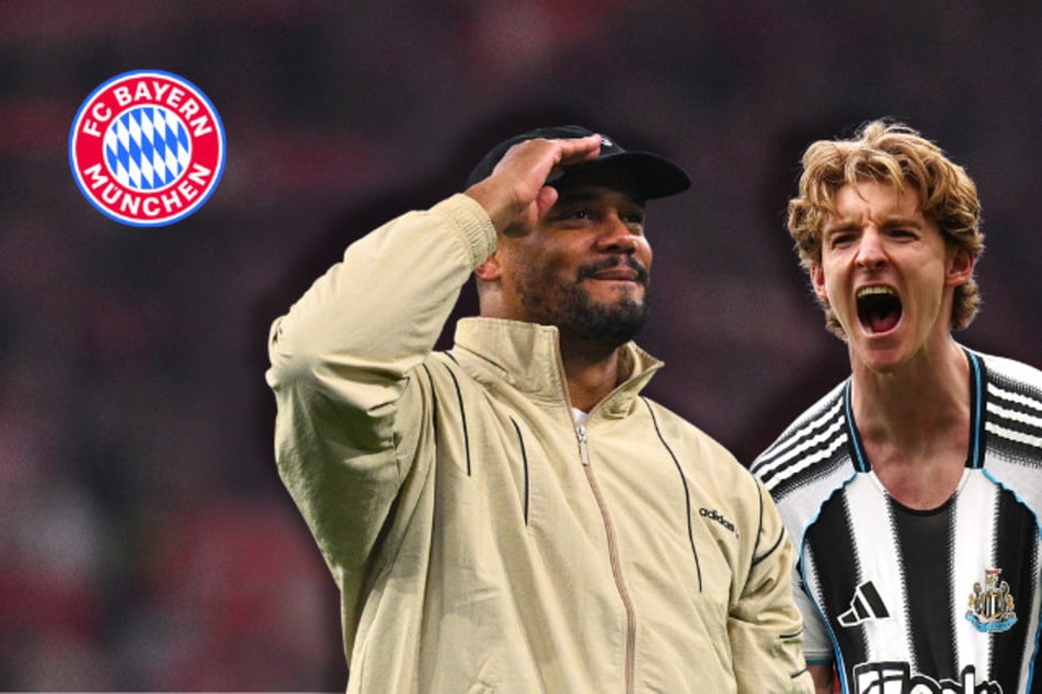 Einigung mit 90-Millionen-Star! FC Bayern legt sich fest