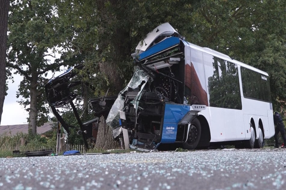 Der Bus krachte ungebremst gegen einen Baum.