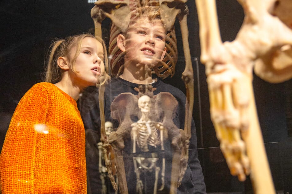 Ab Freitag (30.1.) bringt dieses Chemnitzer Event alle zum Staunen