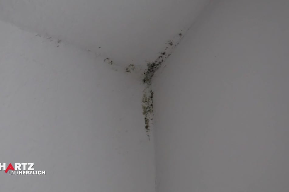 Der Schimmel an Decke und Wand ist deutlich sichtbar.
