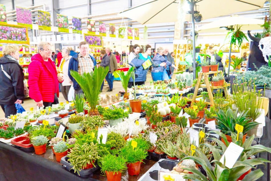 Ihr braucht noch Inspo für die Gartensaison? Schaut bei diesem Event vorbei