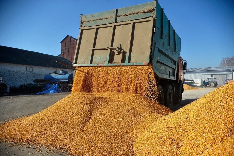 Im Streit um günstiges Getreide aus der Ukraine hat die EU-Kommission nach Druck aus mehreren EU-Staaten den Import von vier ukrainischen Produkten beschränkt.