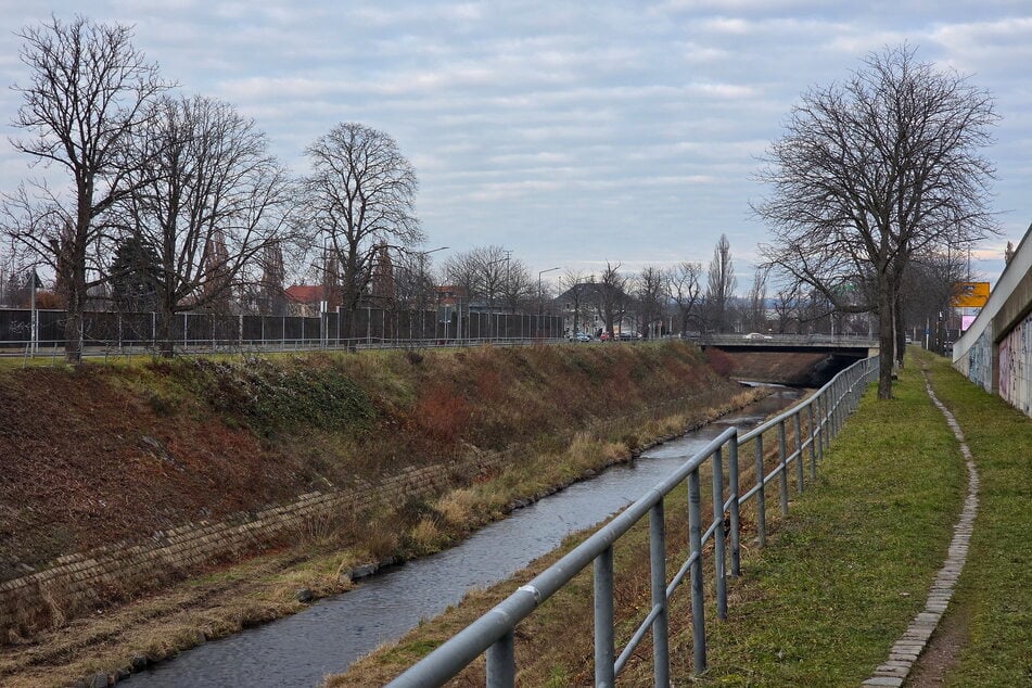 Am Emerich-Ambros-Ufer sind 48 Pflanzungen geplant.