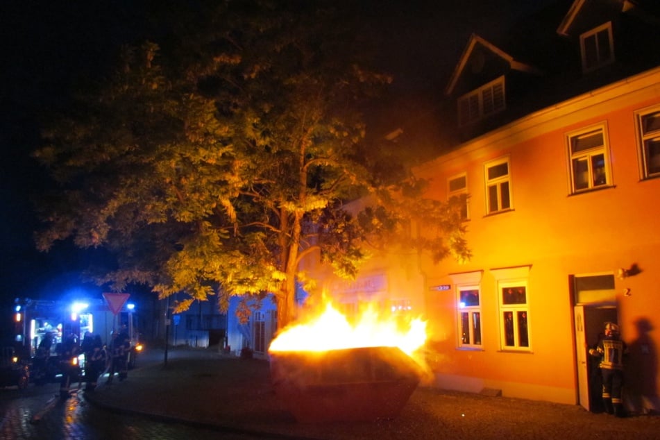 Neben dem Container fing auch ein Baum Feuer.