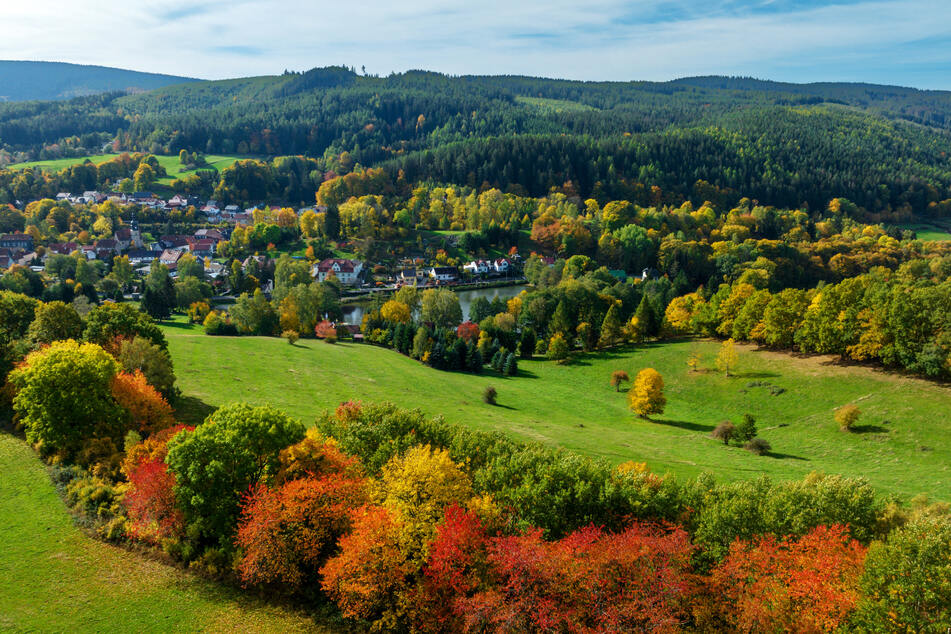 In Thüringen werden am Wochenende milde Temperaturen und Sonnenschein erwartet. So auch im Ortsteil Ilmenau-Roda, wo eine herbstlich gefärbte Baumreihe auf den Herbst einstimmt.