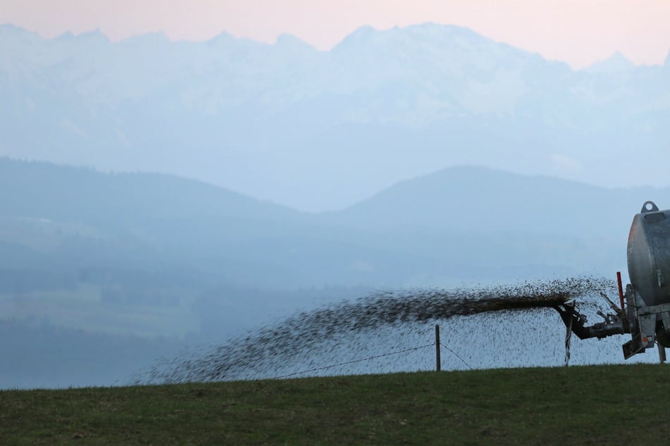 Die Landwirte griffen zu einer ungewöhnlichen und geruchsintensiven Maßnahme. (Symbolbild)
