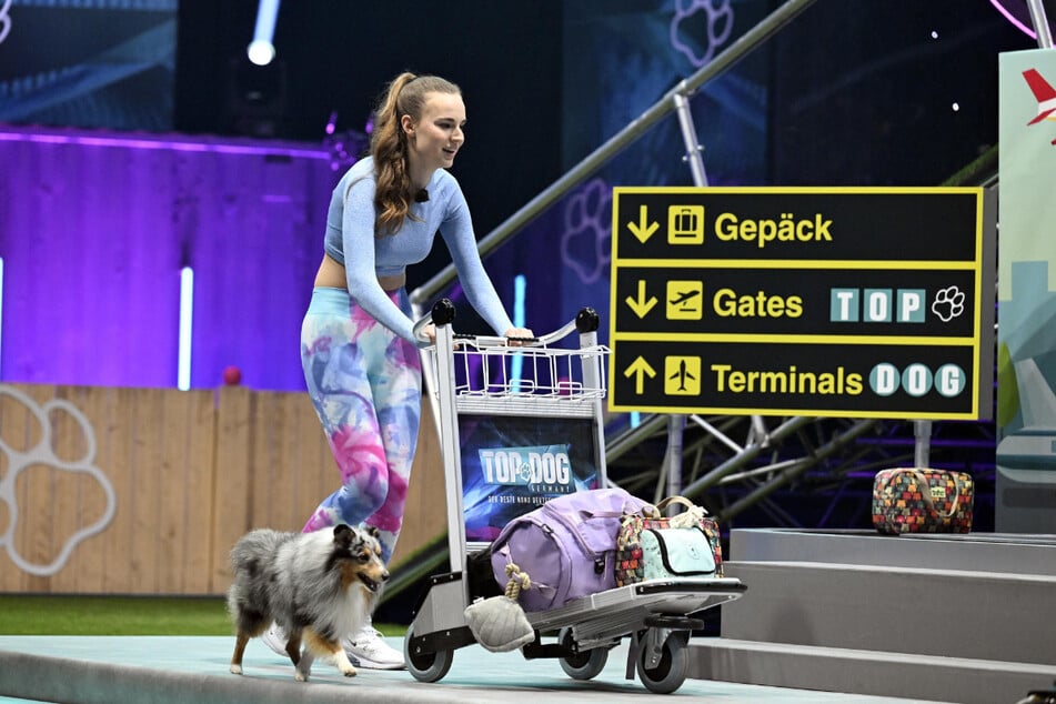 Bei "Top Dog Germany" müssen Daria &amp; Willy im Parcours auch eine "Gepäckstation" wie am Flughafen meistern.