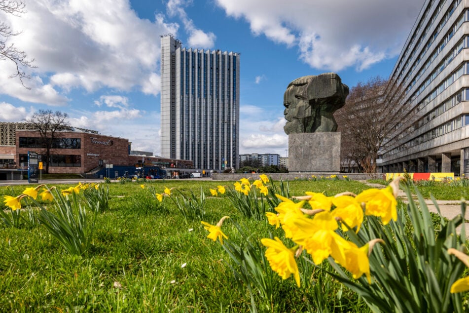 Die Feiertage bringen mildere Temperaturen und mehr Sonne. Dann leuchten die Osterglocken am Marxmonument doppelt schön.