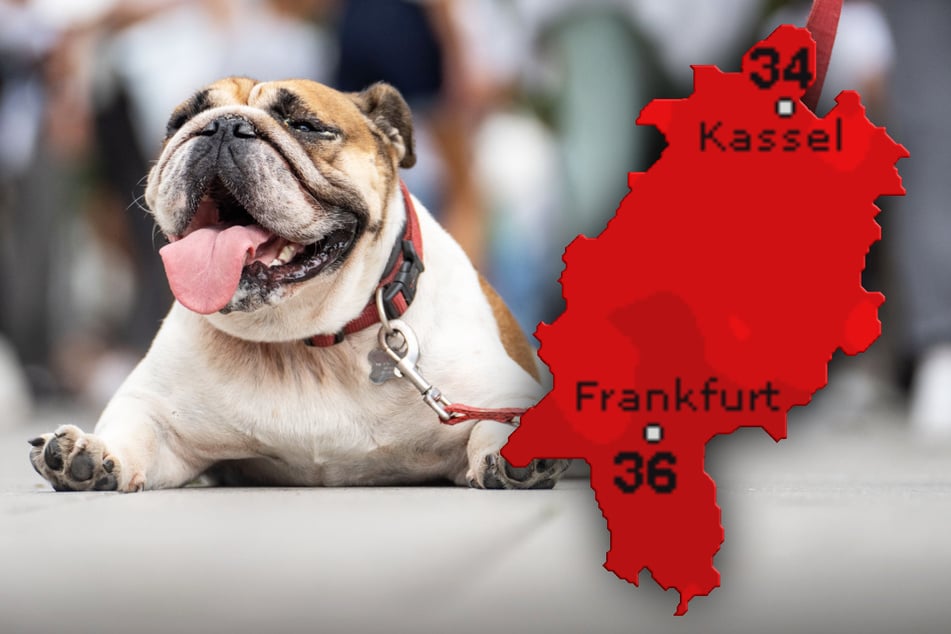 Die Sonne hat in Frankfurt und dem Rest von Hessen am Sonntag und an den Tagen danach das Sagen.