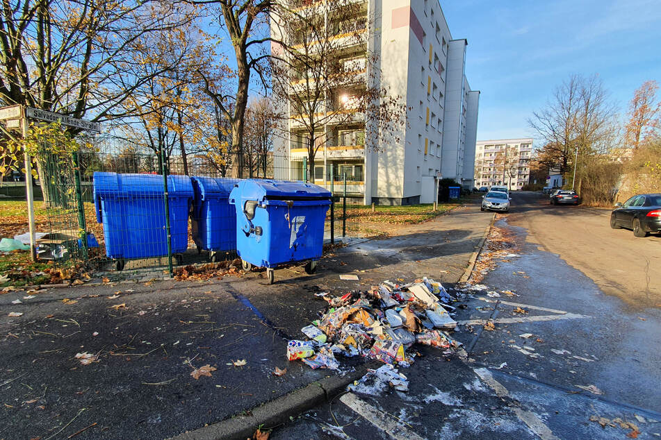 Bei dem abgebrannten Müllcontainer handelt es sich um eine Tonne für Altpapier.