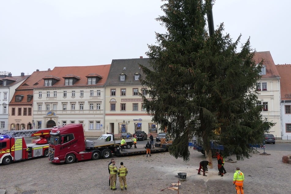 Mit vereinten Kräften stellten die Mitarbeitenden ihn auf.