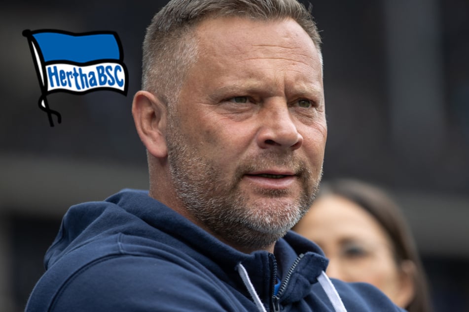 Offiziell: Hertha trennt sich von Dardai