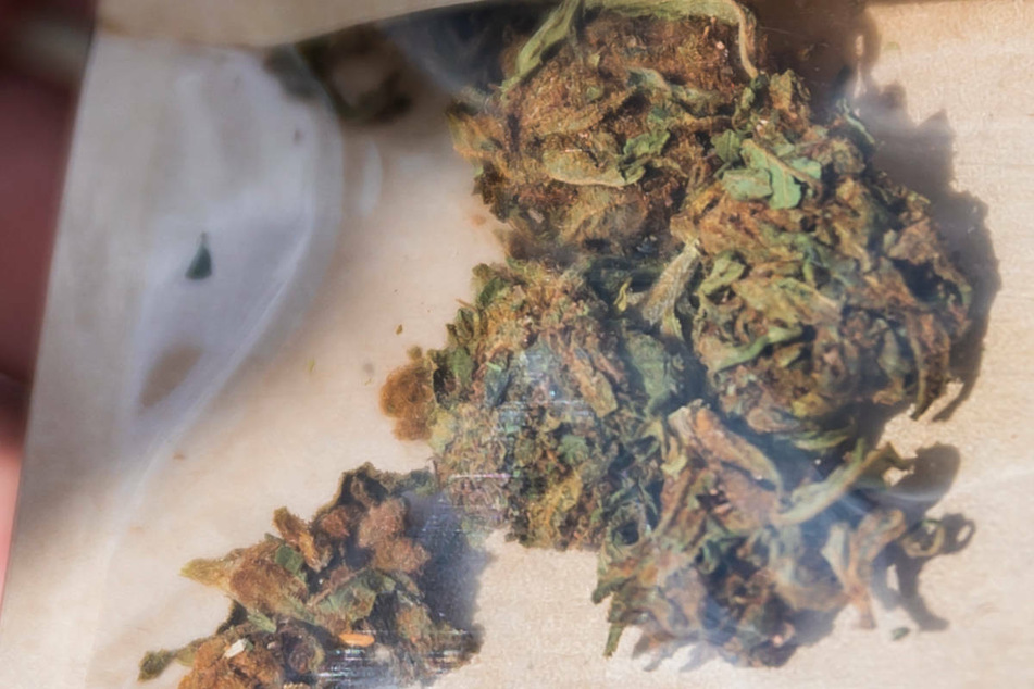 Ein Hinweis auf starken Cannabisgeruch brachte die Polizei auf die Spur der mutmaßlichen Drogendealer. (Symbolfoto)