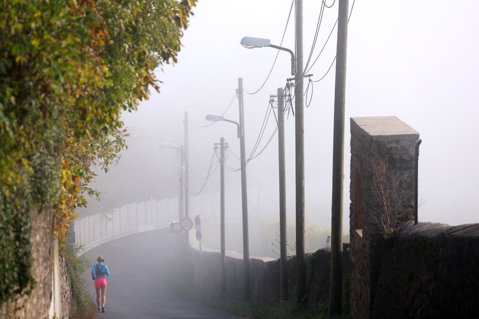Im Herbst ist es morgens schon neblig in Bayern.