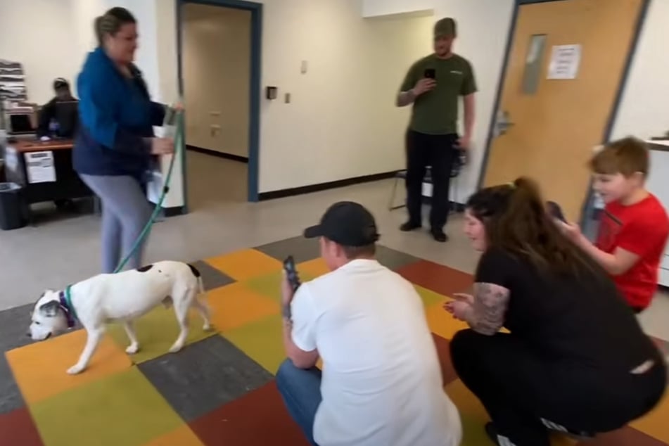 "Ich bin dann mal weg": Nach elf Jahren kann sich Forty nicht mehr an seine Familie erinnern, geht lieber woandershin.