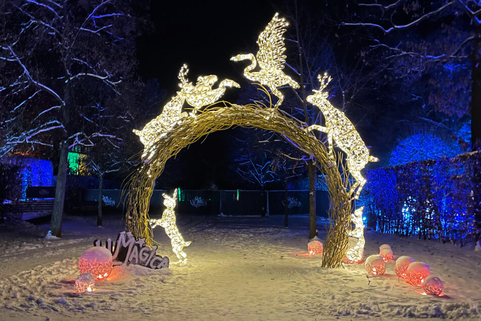 Magische Lichter erwarten die Besucher auf dem Rundgang im Schlosspark Lichtenwalde.
