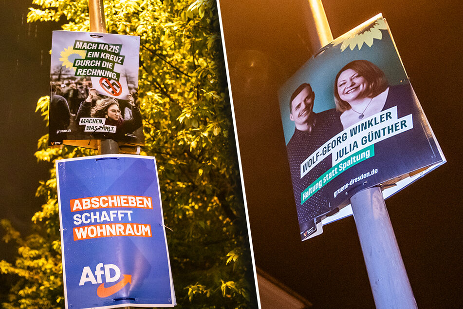 Die Grünen wollen mit ihren Plakaten beispielsweise "Nazis ein Kreuz durch die Rechnung" machen. Auf anderen zeigen sich die Kandidaten.