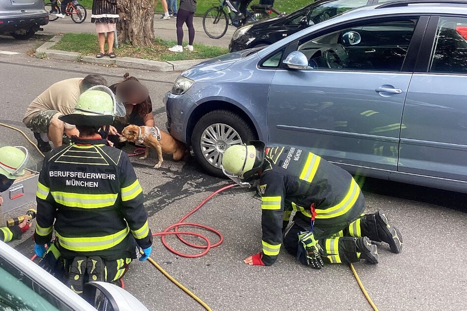Mit einem Hebekissen wurde der VW bewegt, sodass die Hündin vorsichtig befreit werden konnte.