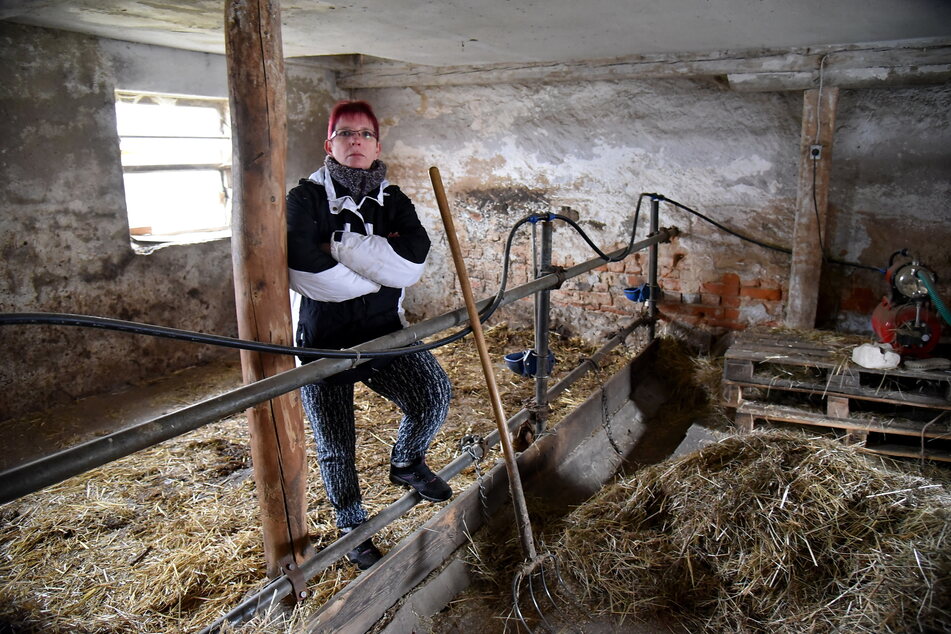 Hobby-Bäuerin Silke Kaiser steht noch immer fassungslos im leeren Stall. Acht Kühe sind auf der Weide an Eibennadeln verendet.