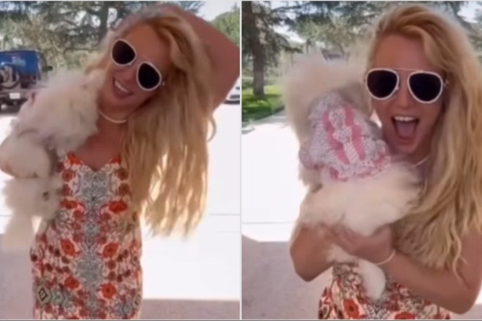 Britney Spears caught some springtime sun with her new pup Snow.