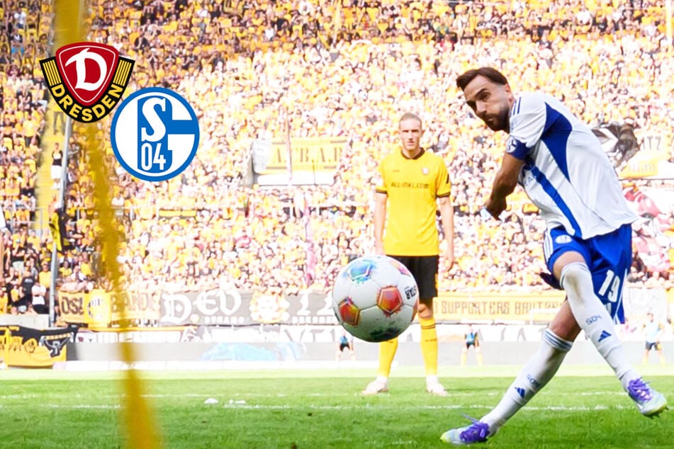 Bittere Heimniederlage gegen Schalke 04! Dynamo verpasst Zählbares nur knapp