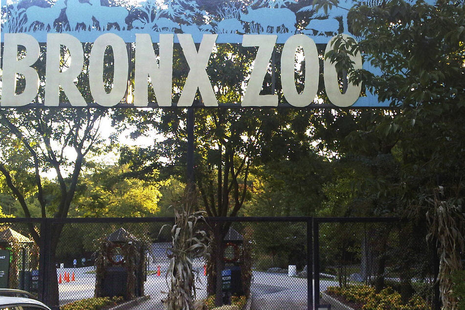 Der Eingang zum Bronx Zoo in New York.